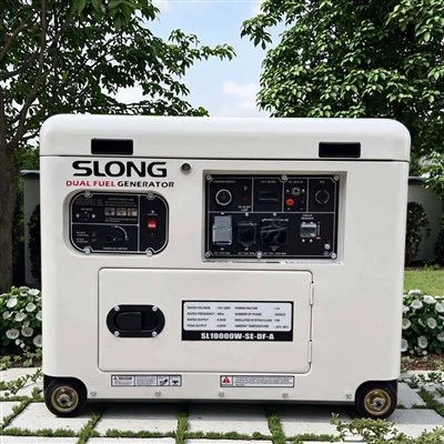 Generador de LPG de gas natural Conjunto de 15kW Generador de combustible dual para uso grande para el hogar