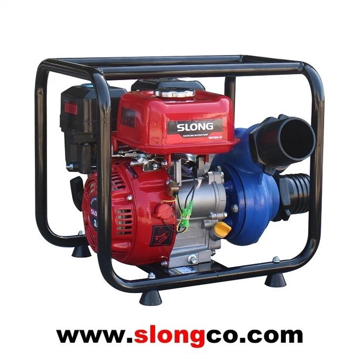 Gold Extraction Pump