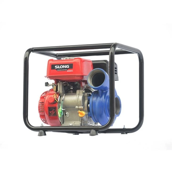 Gold Extraction Pump